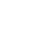 Record Icon